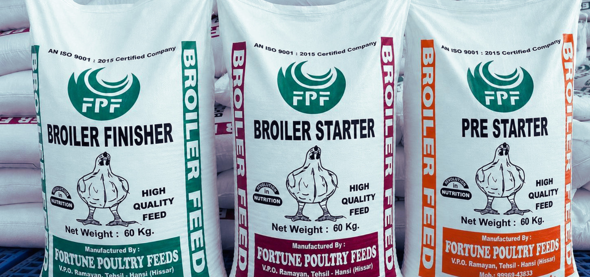 Broiler Feed