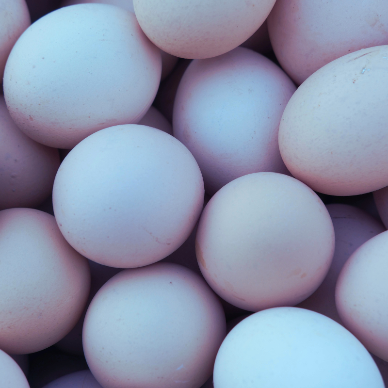 Commercial Eggs