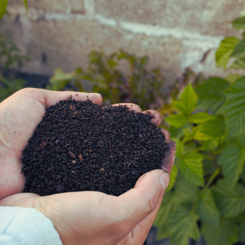 Organic Manure