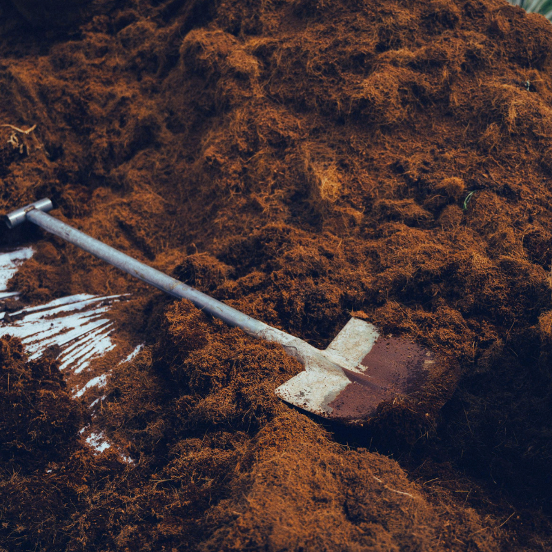 Organic Manure